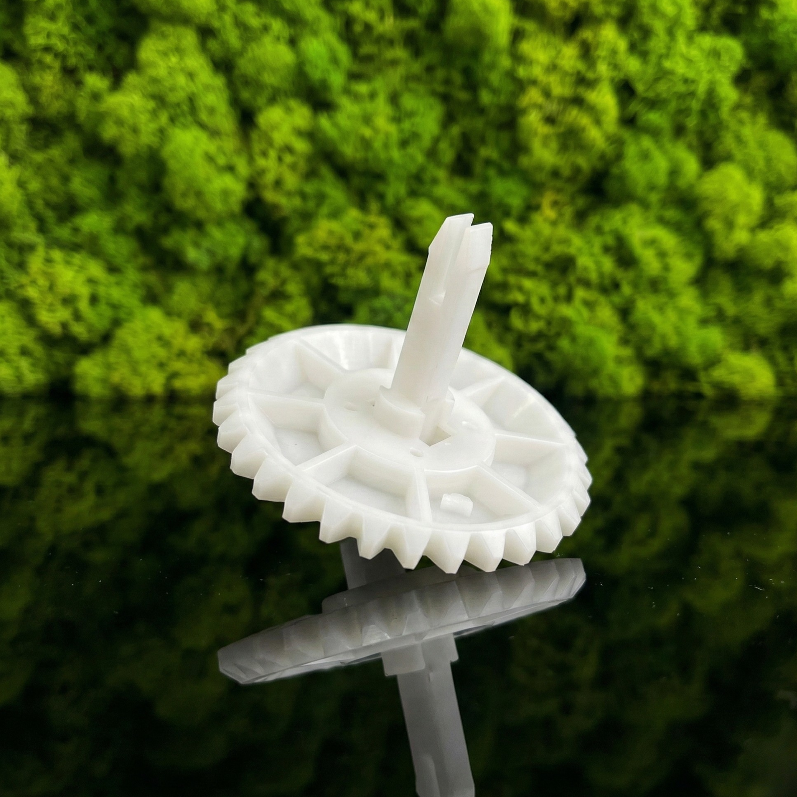 Kupplung für Förderband