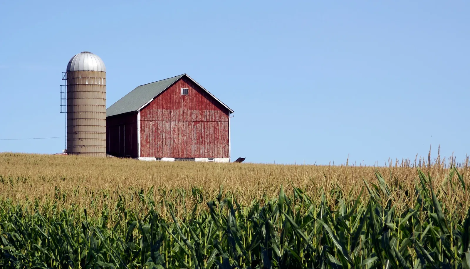Bild einer ländlichen Scheune, von der frische Güter bezogen werden