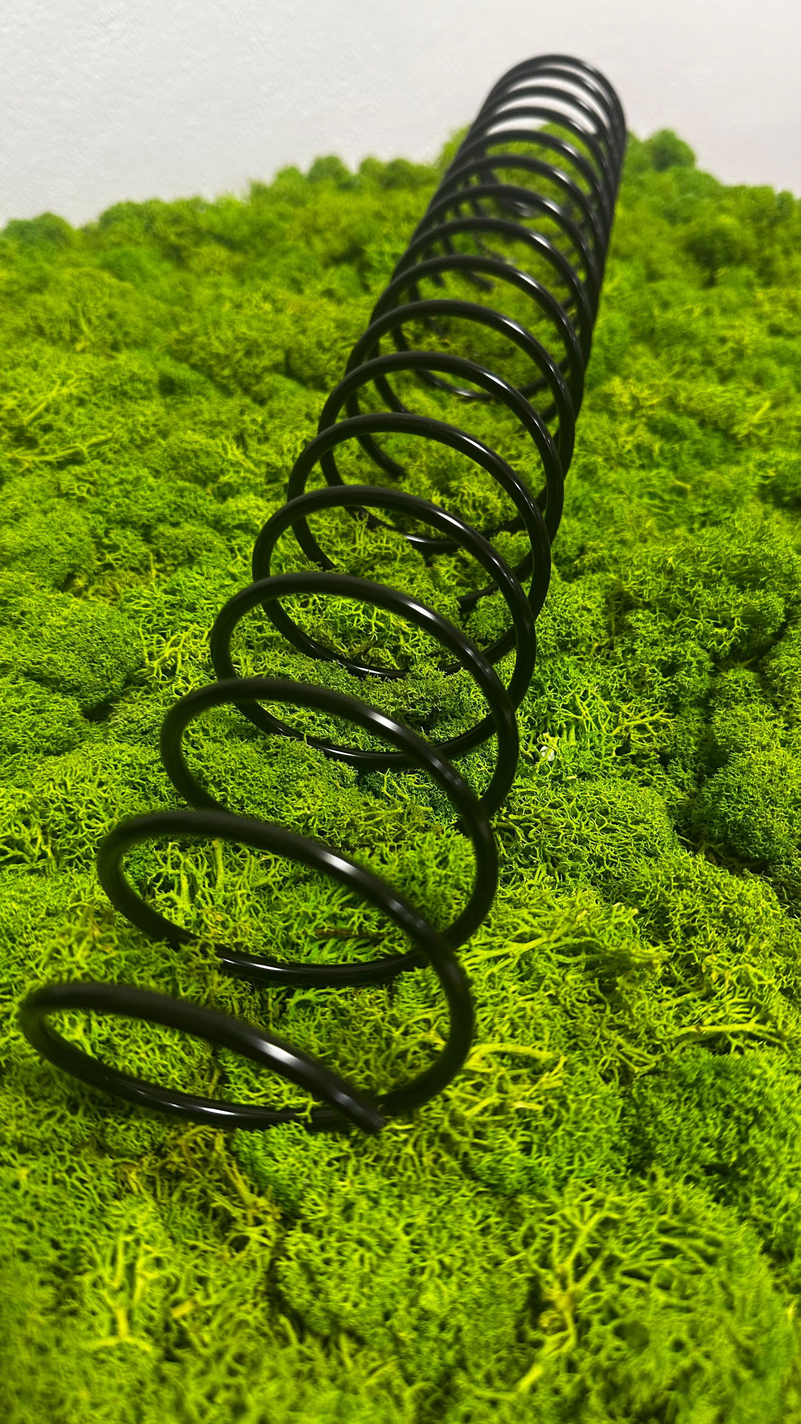 Verlängerte Spiralen