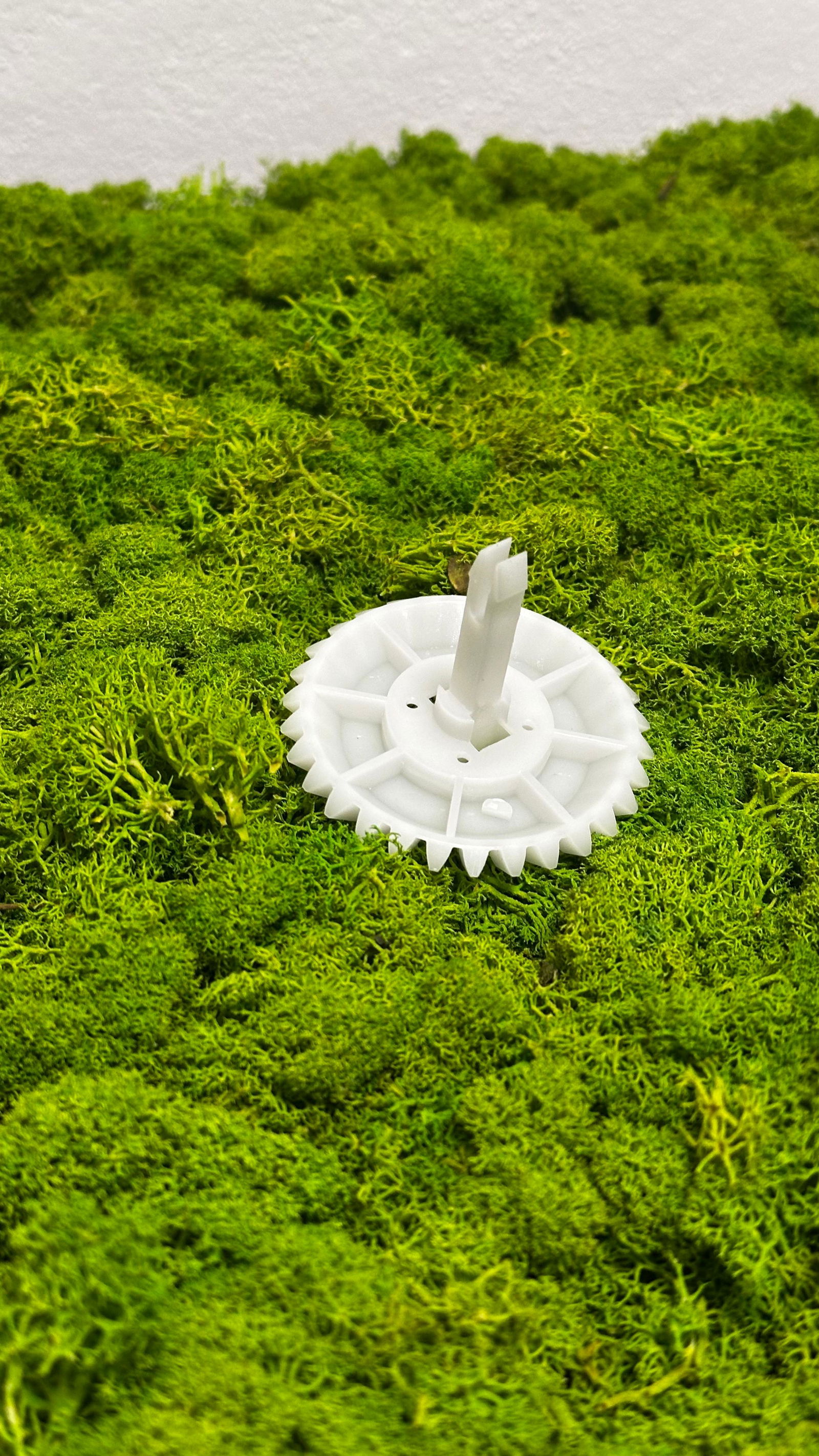 Kupplung für Förderband/Sidepush